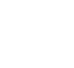 LOGO IMV